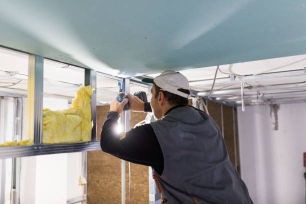 Best Spray Foam Insulation in Glespie, IL