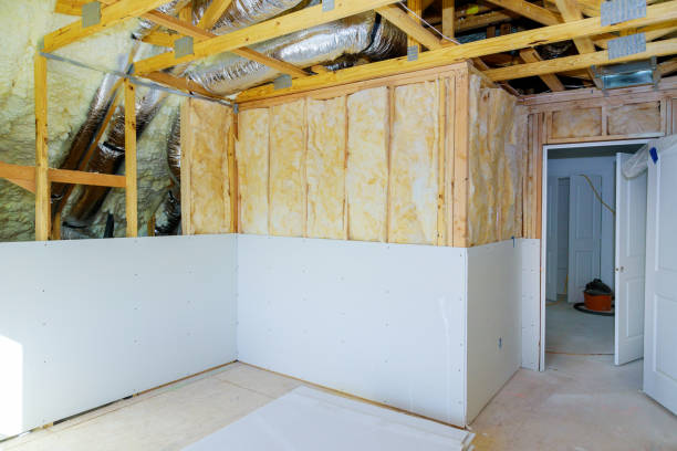 Best Geographic-Specific Insulation Services in Glespie, IL