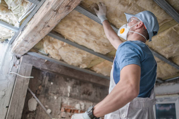  Glespie, IL Insulation Contractor Pros