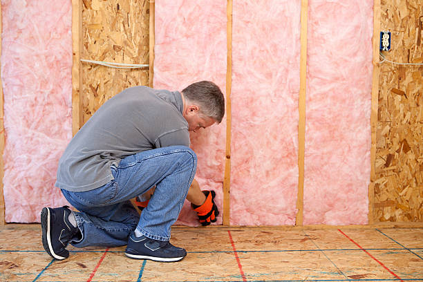 Best Specialized Insulation Services in Glespie, IL