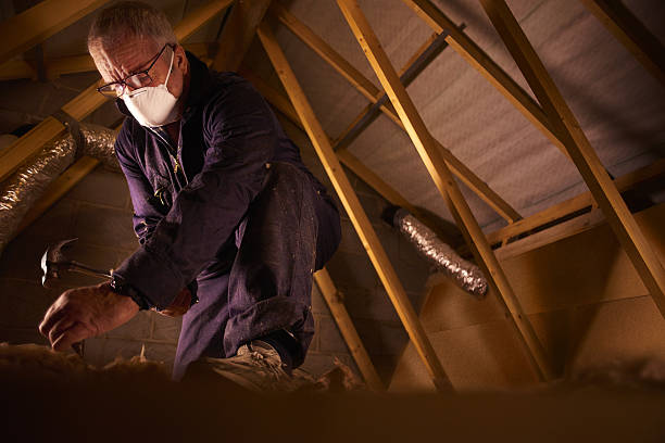 Best Cellulose Insulation in Glespie, IL