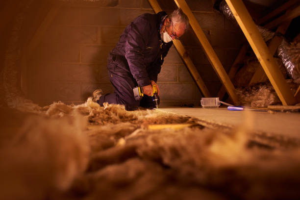 Best Insulation Maintenance and Repair in Glespie, IL