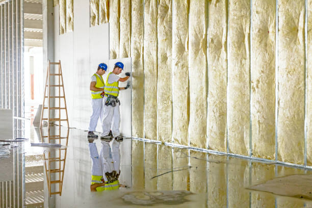 Professional Insulation Contractor in Gillespie, IL